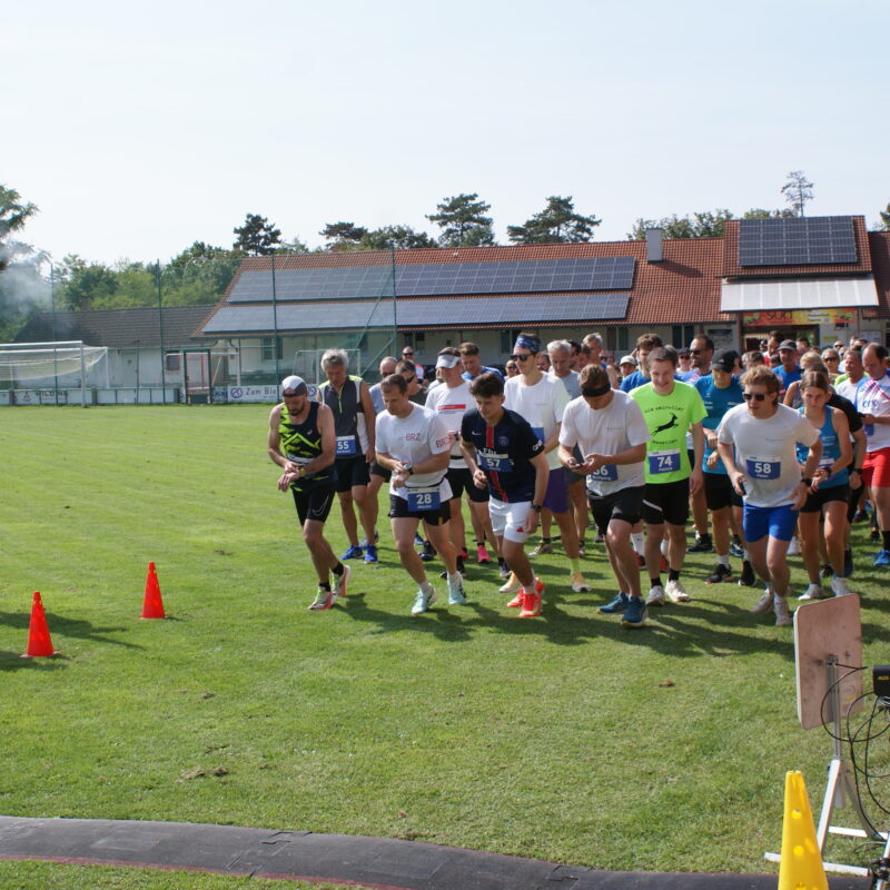 - Lauf- und Nordic Walking-Meisterschaften - Sportverein Finanz