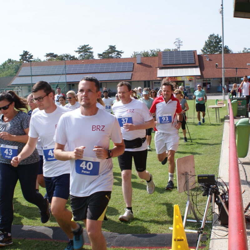 - Lauf- und Nordic Walking-Meisterschaften - Sportverein Finanz