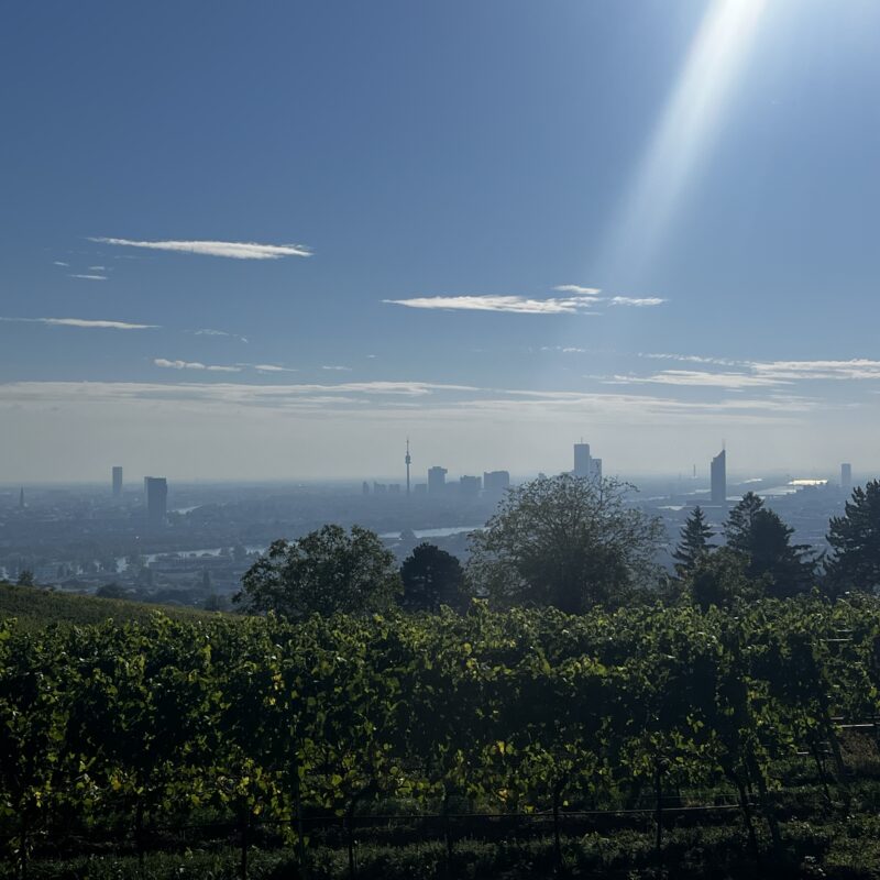  - Wandertag auf den Kahlenberg - Sportverein Finanz